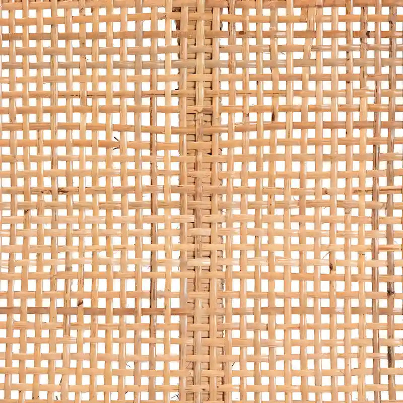 Bohemian Natural Rattan and Mahogany Wood Accent Bench