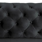 Modern Loveseat Two-Seater Sofa with Velvet Upholstery, Wood Frame and Metal Legs
