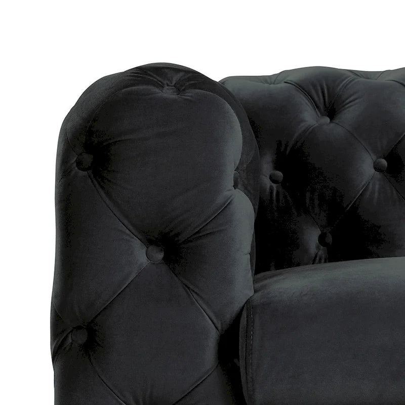 Modern Loveseat Two-Seater Sofa with Velvet Upholstery, Wood Frame and Metal Legs