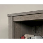 Library Bookcase with Doors